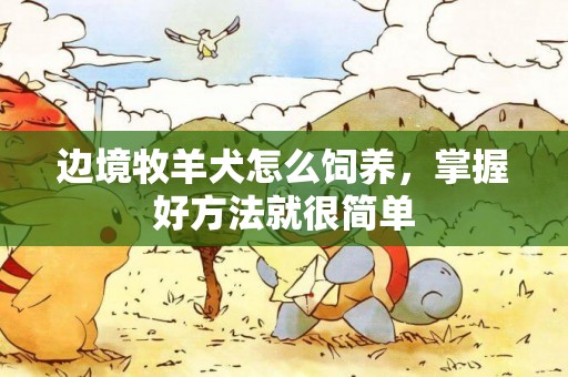 邊境牧羊犬怎么飼養，掌握好方法就很簡單