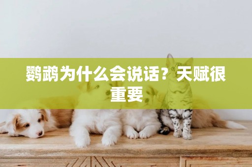 鸚鵡為什么會說話？天賦很重要