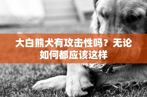 大白熊犬有攻擊性嗎？無論如何都應該這樣