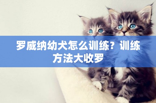 羅威納幼犬怎么訓練？訓練方法大收羅