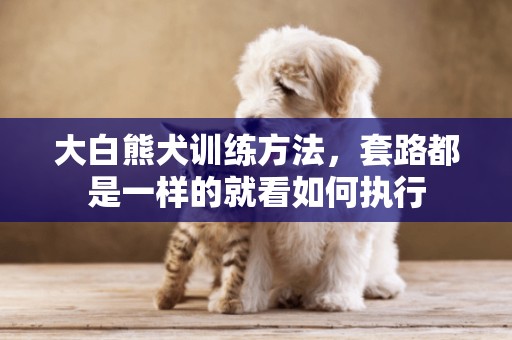 大白熊犬訓練方法，套路都是一樣的就看如何執行