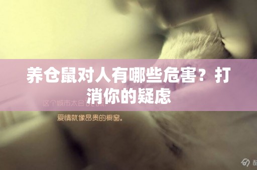養倉鼠對人有哪些危害？打消你的疑慮