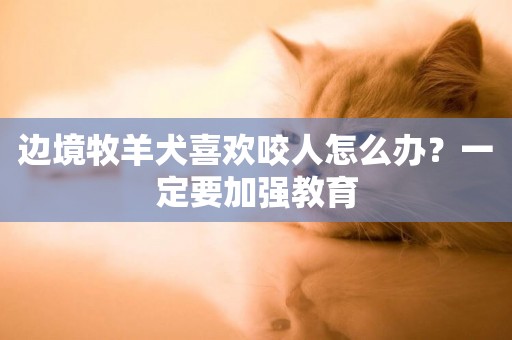 邊境牧羊犬喜歡咬人怎么辦？一定要加強教育