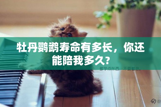 牡丹鸚鵡壽命有多長，你還能陪我多久?