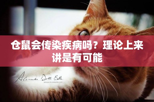 倉鼠會傳染疾病嗎？理論上來講是有可能