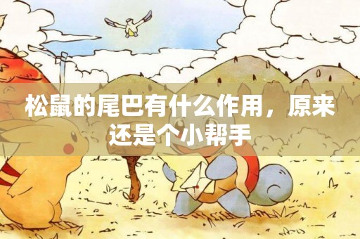 松鼠的尾巴有什么作用，原來還是個小幫手