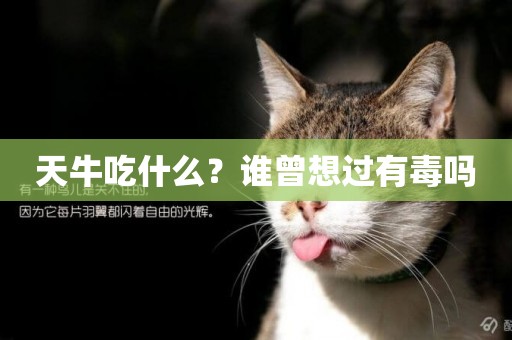 天牛吃什么？誰曾想過有毒嗎