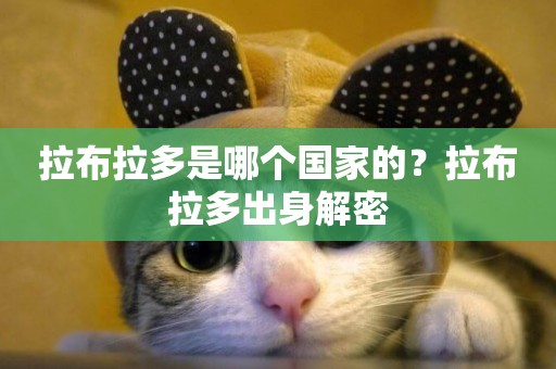 拉布拉多是哪個國家的？拉布拉多出身解密