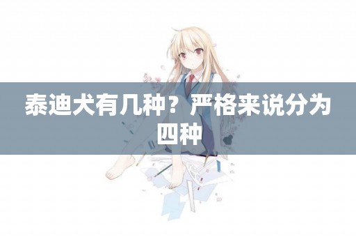 泰迪犬有幾種？嚴格來說分為四種
