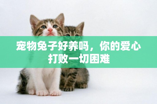 寵物兔子好養嗎，你的愛心打敗一切困難