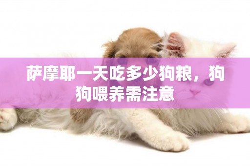 薩摩耶一天吃多少狗糧，狗狗喂養需注意