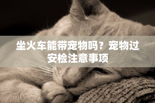 坐火車能帶寵物嗎？寵物過安檢注意事項