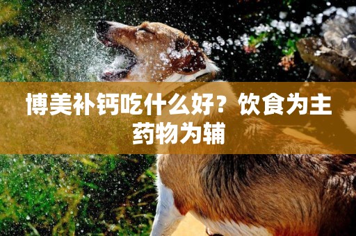 博美補鈣吃什么好？飲食為主藥物為輔
