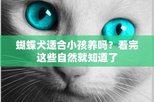 蝴蝶犬適合小孩養嗎？看完這些自然就知道了