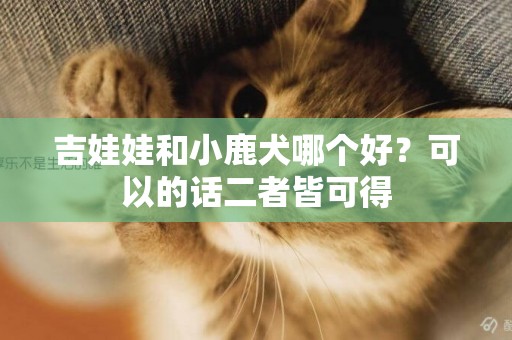 吉娃娃和小鹿犬哪個好？可以的話二者皆可得