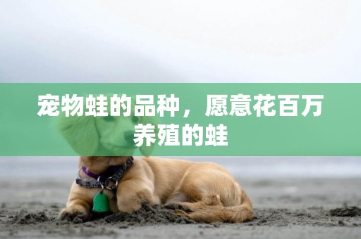 寵物蛙的品種，愿意花百萬養殖的蛙