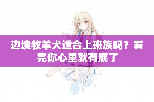 邊境牧羊犬適合上班族嗎？看完你心里就有底了
