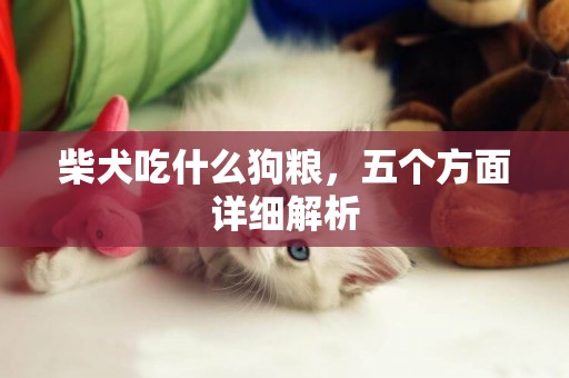 柴犬吃什么狗糧，五個方面詳細解析