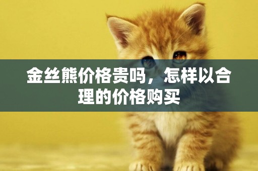 金絲熊價格貴嗎，怎樣以合理的價格購買