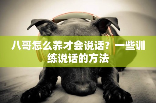 八哥怎么養才會說話？一些訓練說話的方法
