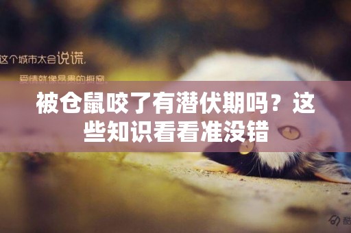 被倉鼠咬了有潛伏期嗎？這些知識看看準沒錯