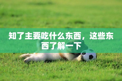 知了主要吃什么東西，這些東西了解一下