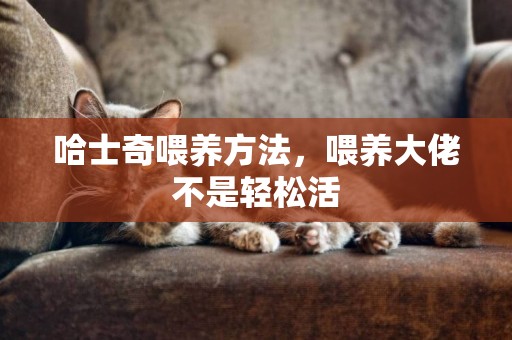 哈士奇喂養方法，喂養大佬不是輕松活