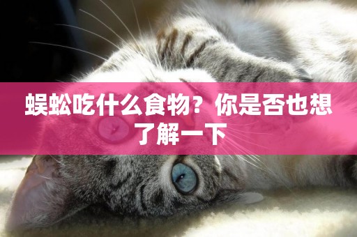 蜈蚣吃什么食物？你是否也想了解一下