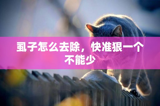 虱子怎么去除，快準狠一個不能少