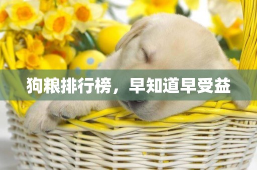 狗糧排行榜，早知道早受益