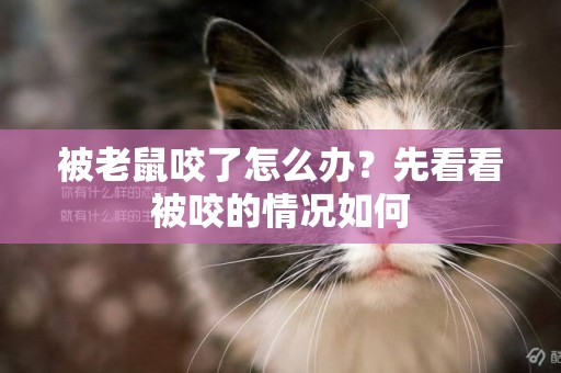 被老鼠咬了怎么辦？先看看被咬的情況如何