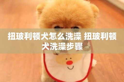 扭玻利頓犬怎么洗澡 扭玻利頓犬洗澡步驟