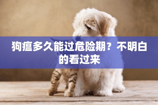 狗瘟多久能過危險期？不明白的看過來