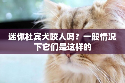 迷你杜賓犬咬人嗎？一般情況下它們是這樣的