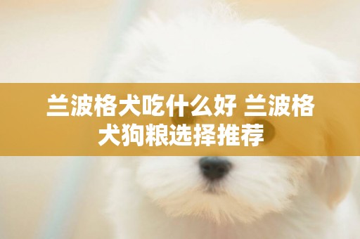 蘭波格犬吃什么好 蘭波格犬狗糧選擇推薦