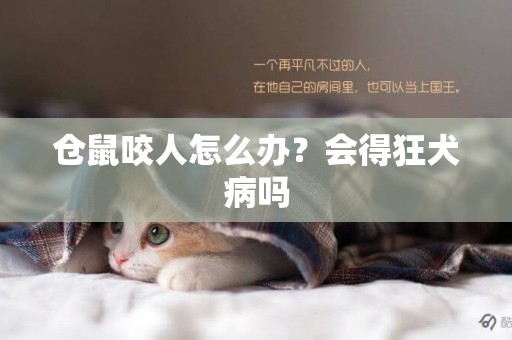 倉鼠咬人怎么辦？會得狂犬病嗎