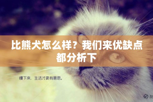 比熊犬怎么樣？我們來優缺點都分析下