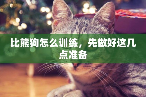 比熊狗怎么訓練，先做好這幾點準備