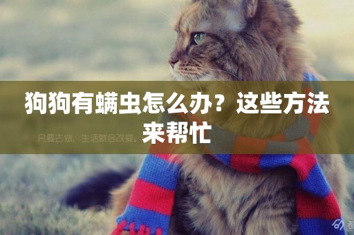 狗狗有螨蟲怎么辦？這些方法來幫忙