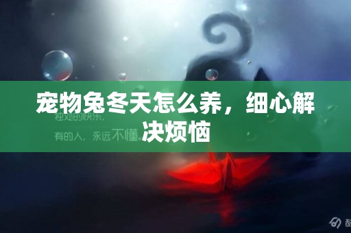 寵物兔冬天怎么養，細心解決煩惱