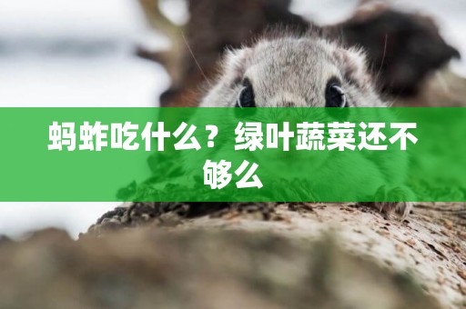 螞蚱吃什么？綠葉蔬菜還不夠么
