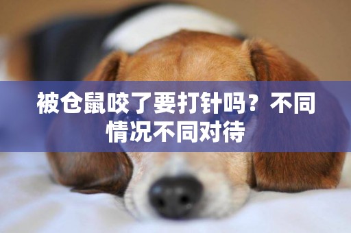 被倉鼠咬了要打針嗎？不同情況不同對待