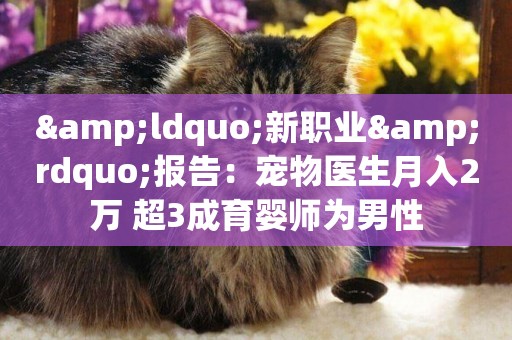 &ldquo;新職業&rdquo;報告：寵物醫生月入2萬 超3成育嬰師為男性