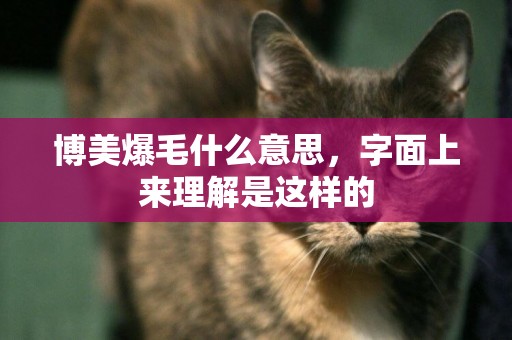 博美爆毛什么意思，字面上來理解是這樣的