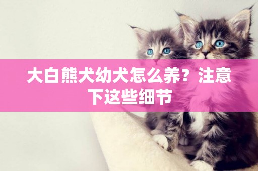 大白熊犬幼犬怎么養？注意下這些細節