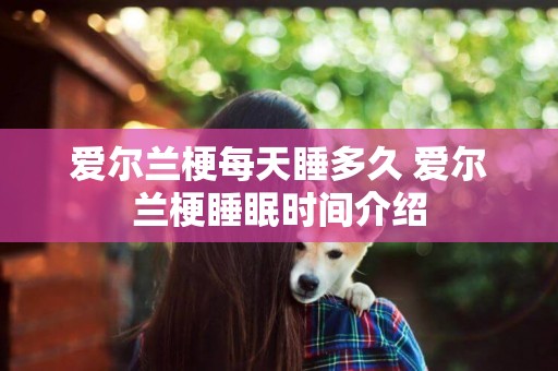 愛爾蘭梗每天睡多久 愛爾蘭梗睡眠時間介紹