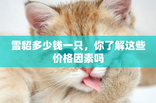 雪貂多少錢一只，你了解這些價格因素嗎