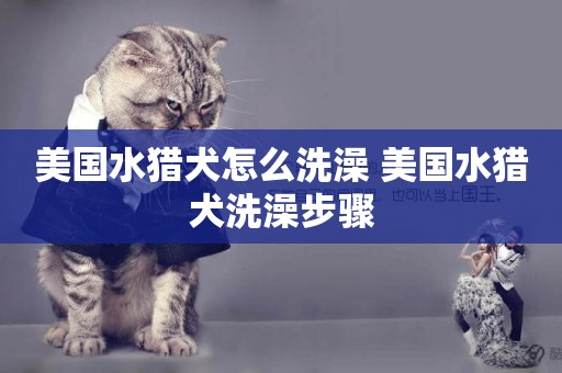 美國水獵犬怎么洗澡 美國水獵犬洗澡步驟