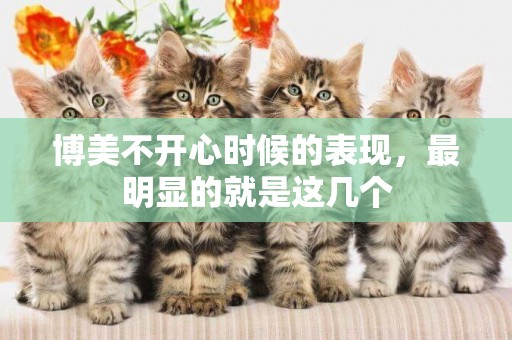 博美不開心時候的表現，最明顯的就是這幾個