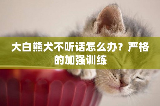 大白熊犬不聽話怎么辦？嚴格的加強訓練